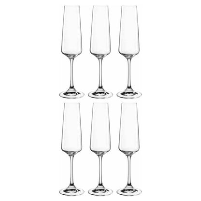 Leonardo - PALADINO Champagne Glasses 220 ml - Pack of 6