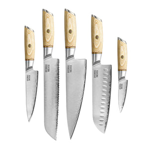 Couteaux Shinrai - Coffret de 5 couteaux Hikari Damas